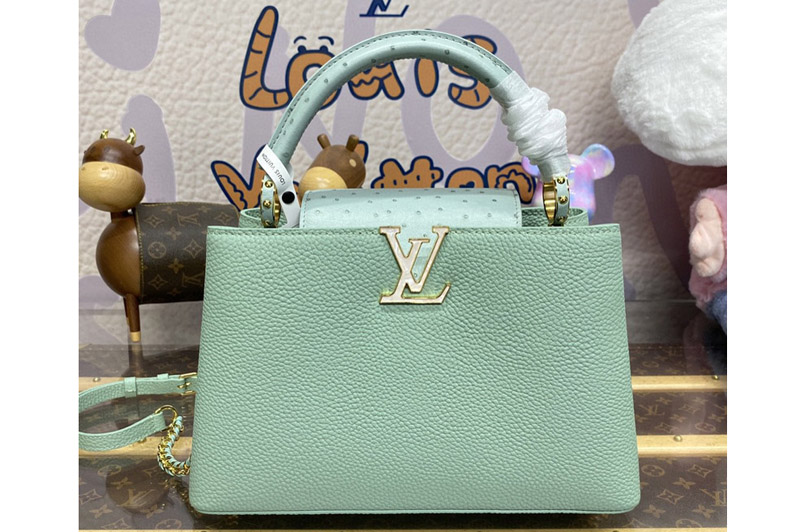 Louis Vuitton N84073 LV Capucines MM handbag in Sky Blue Taurillon leather and ostrich skin
